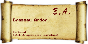 Brassay Andor névjegykártya